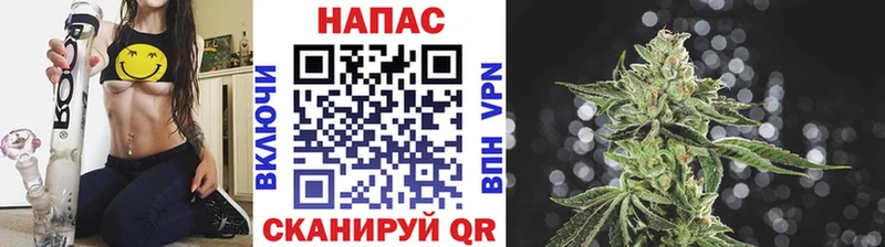 Канабис конопля  Новоаннинский 